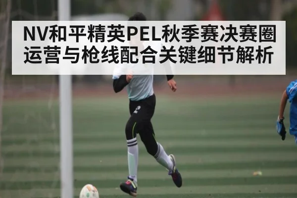 NV和平精英PEL秋季赛决赛圈运营与枪线配合关键细节解析(leyu)
